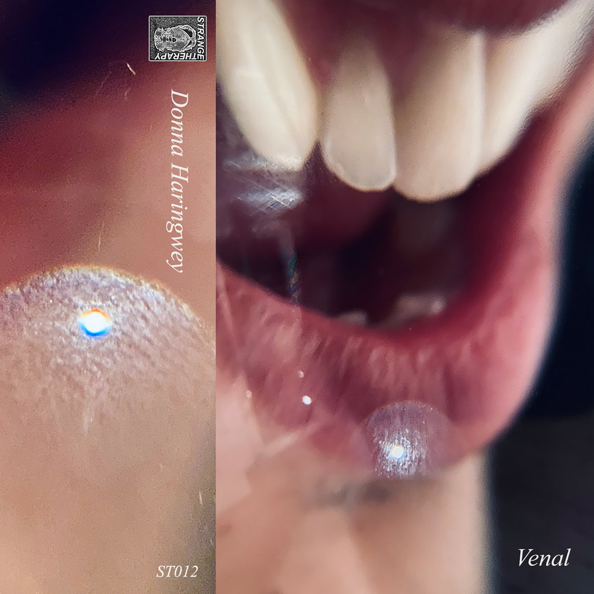 Venal – Donna Haringwey [ST012]