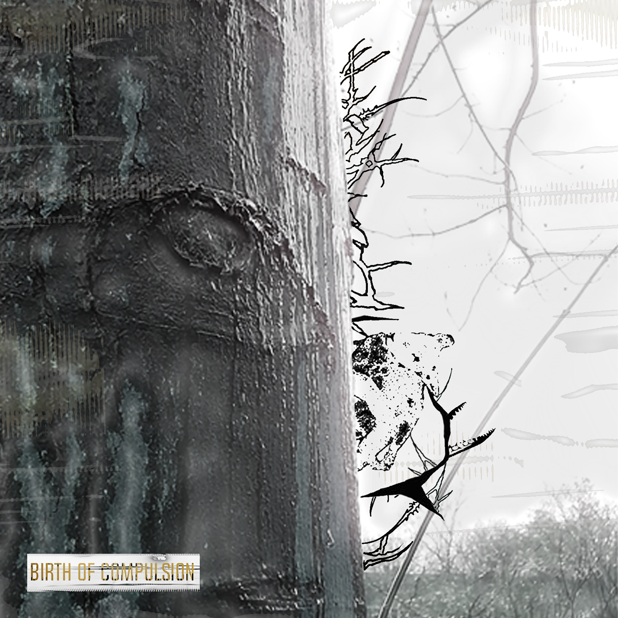 Birth of Compulsion – JT Whitfield [ST022]